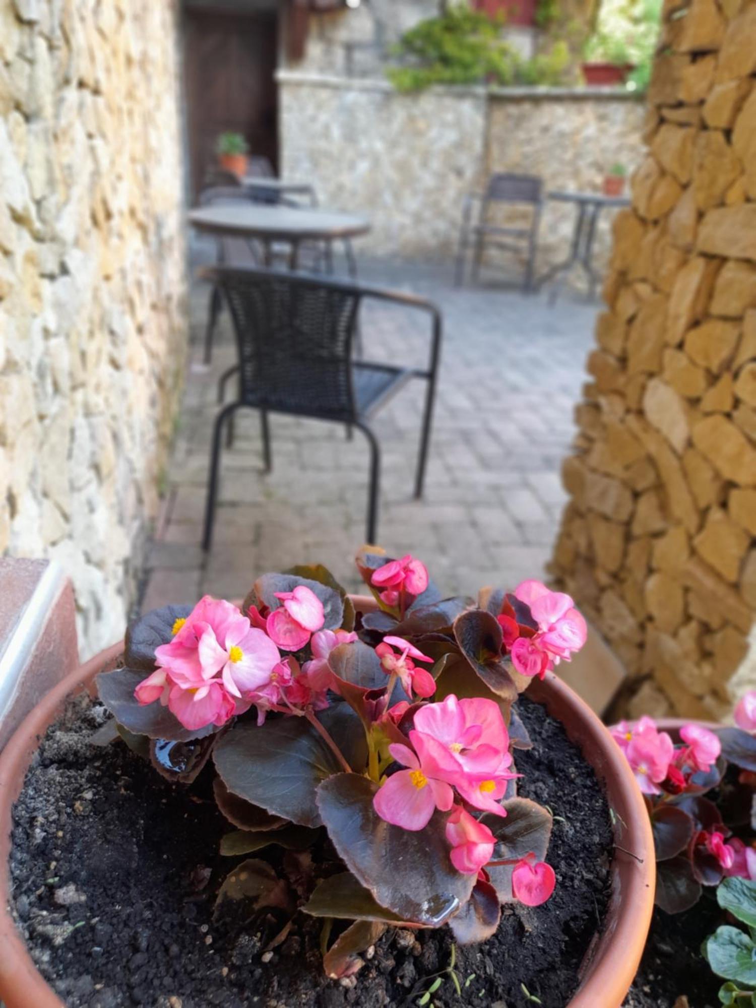Harmonia Wellness Villa Szilvásvárad Zewnętrze zdjęcie