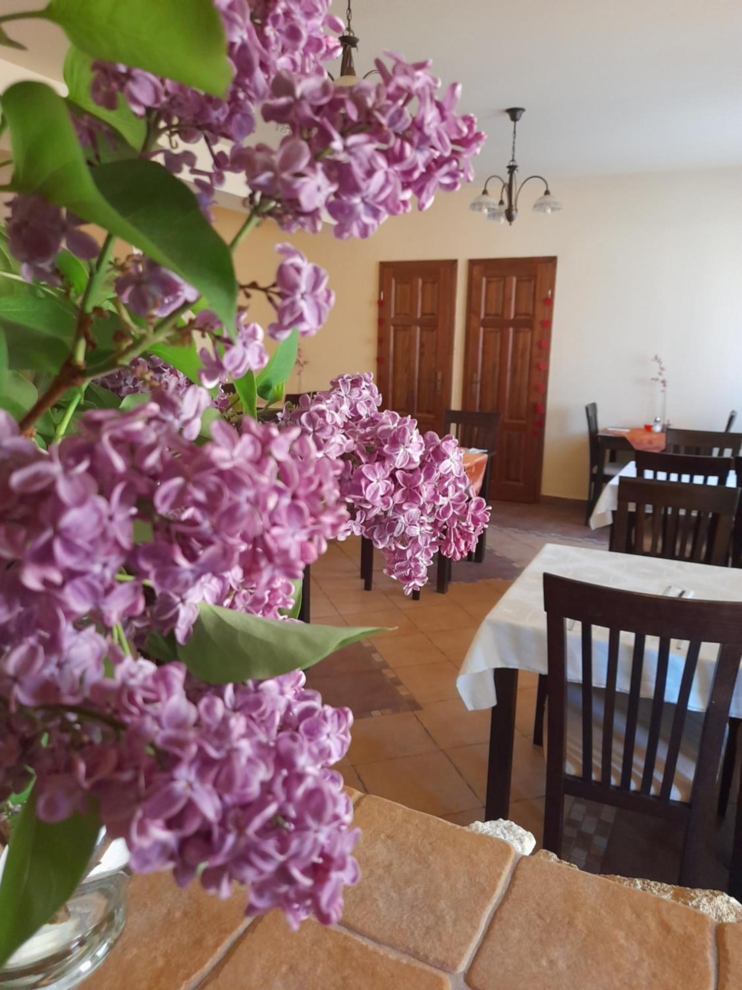 Harmonia Wellness Villa Szilvásvárad Zewnętrze zdjęcie